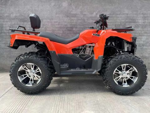 Quad DW ATV 300cc | Used Machinery Trading B.V. [5]