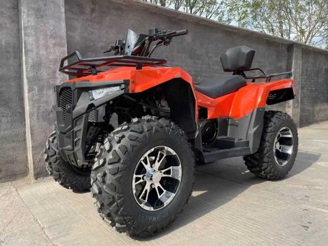 Quad DW ATV 300cc | Used Machinery Trading B.V. [6]