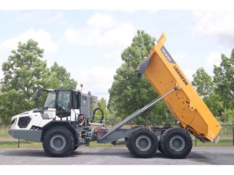 Liebherr
TA230 | TAILGATE | GOOD CONDITION | Hulleman Trucks [1]