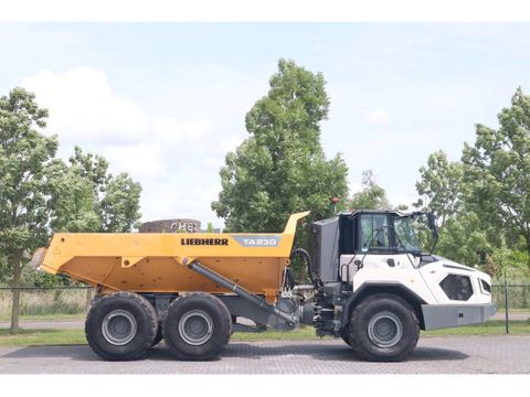 Liebherr
TA230 | TAILGATE | GOOD CONDITION | Hulleman Trucks [4]