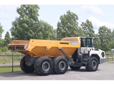 Liebherr
TA230 | TAILGATE | GOOD CONDITION | Hulleman Trucks [6]