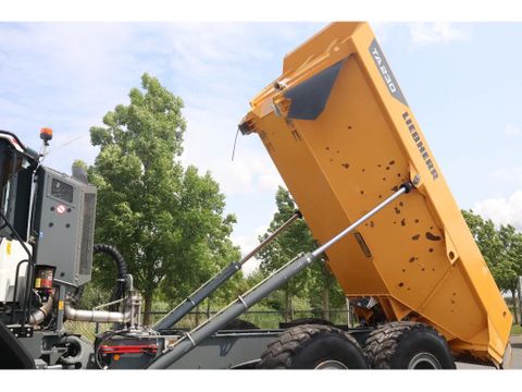 Liebherr
TA230 | TAILGATE | GOOD CONDITION | Hulleman Trucks [7]