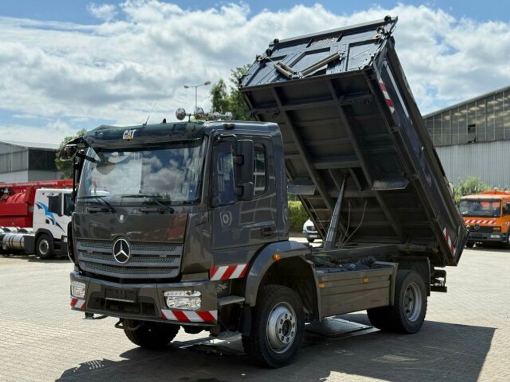 Mercedes-Benz  (12)