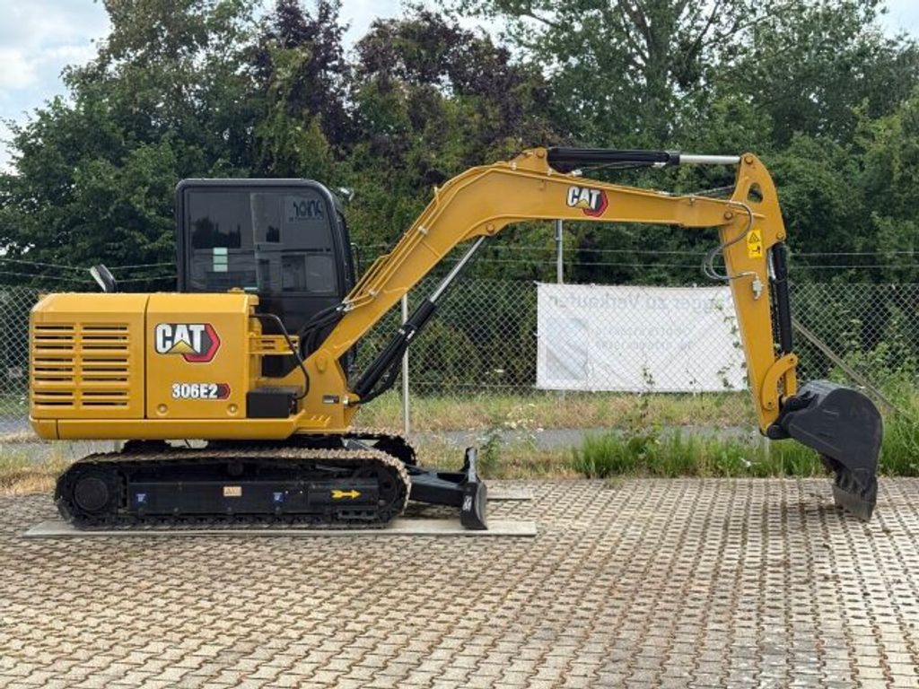 Cat  (2)