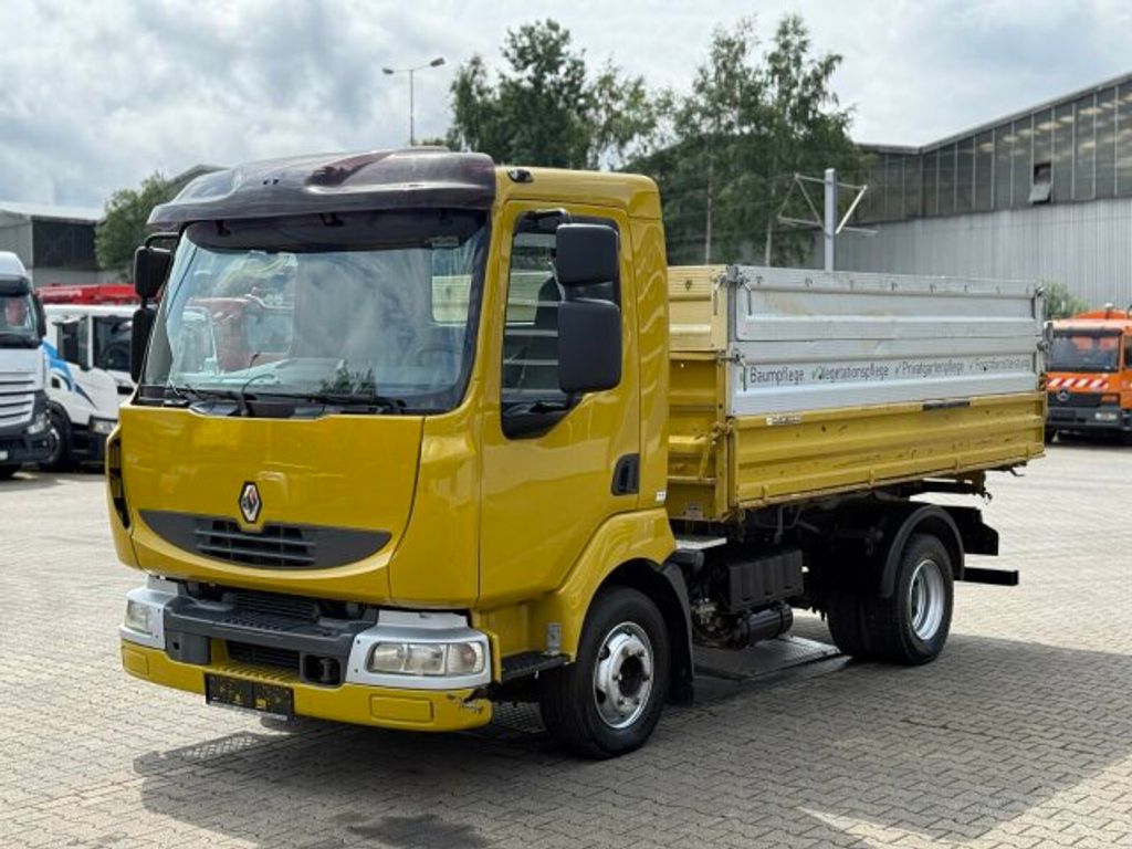 Renault  (6)