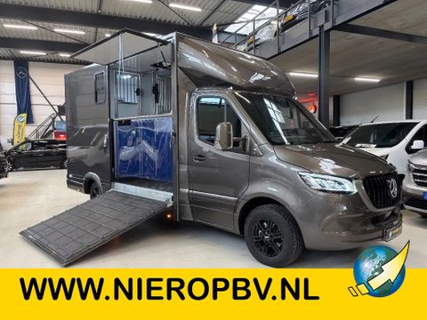 Mercedes-Benz 317CDI Paardenwagen/Veewagen Hengsten Uitvoering Automaat Airco Xenon NIEUW | Van Nierop BV [1]