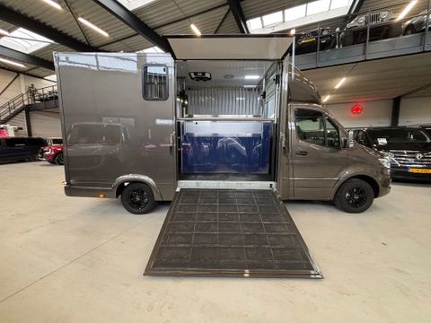 Mercedes-Benz 317CDI Paardenwagen/Veewagen Hengsten Uitvoering Automaat Airco Xenon NIEUW | Van Nierop BV [11]