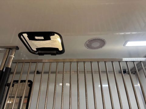 Mercedes-Benz 317CDI Paardenwagen/Veewagen Hengsten Uitvoering Automaat Airco Xenon NIEUW | Van Nierop BV [13]
