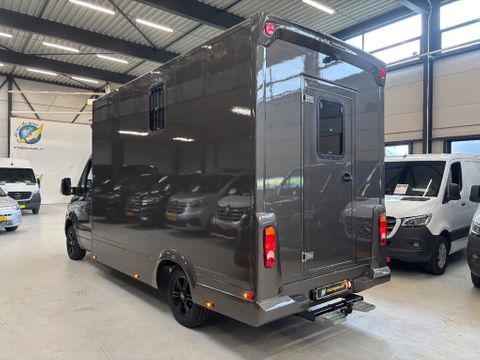 Mercedes-Benz 317CDI Paardenwagen/Veewagen Hengsten Uitvoering Automaat Airco Xenon NIEUW | Van Nierop BV [7]