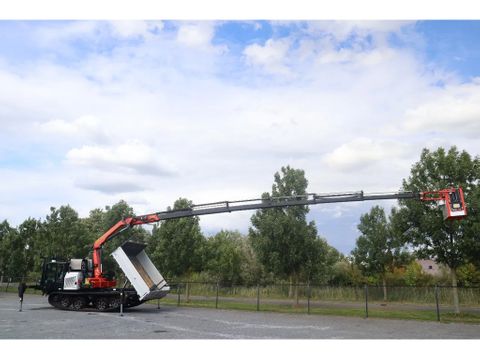 Prinoth
PANTHER T8 | PALFINGER 18502 | WORK PLATFORM | CRANE / KRAN | Hulleman Trucks [2]