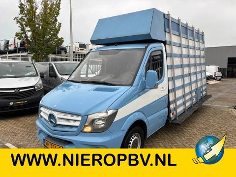 Mercedes-Benz 313 cdi glasresteel | Van Nierop BV [1]
