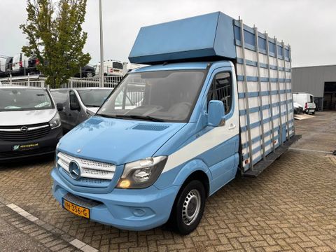 Mercedes-Benz 313 cdi glasresteel | Van Nierop BV [2]