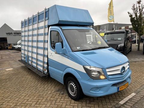 Mercedes-Benz 313 cdi glasresteel | Van Nierop BV [3]