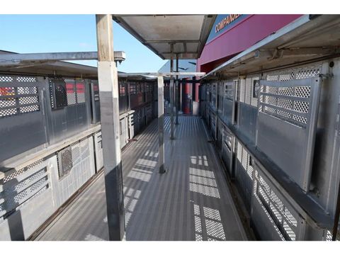 Berdex OS. 12.27 Pig transport | Companjen Bedrijfswagens BV [14]