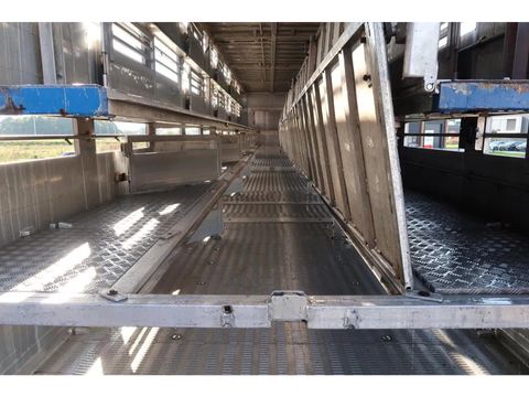 Berdex OV. 1227  - Pigs Transport - 2, 3, 4 Floors | Companjen Bedrijfswagens BV [12]