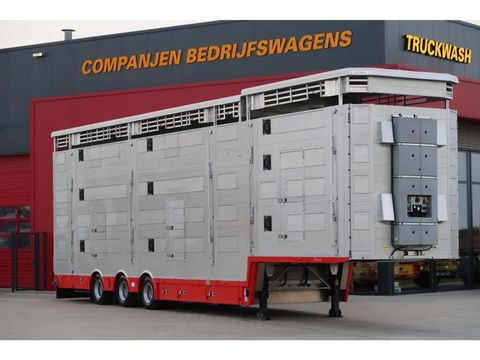 Pezzaioli SBA 31 - NEW - Neu - Livestock transporter | Companjen Bedrijfswagens BV [13]