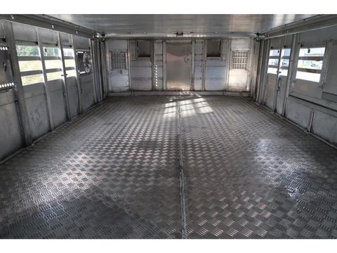 Pezzaioli SBA 31 - NEW - Neu - Livestock transporter | Companjen Bedrijfswagens BV [28]