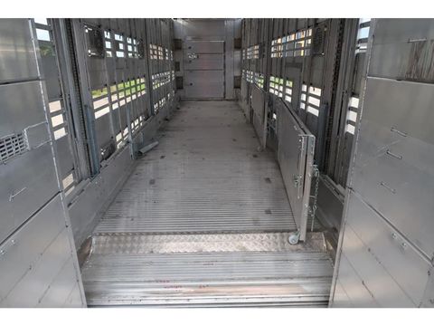 Pezzaioli SBA 31 - NEW - Neu - Livestock transporter | Companjen Bedrijfswagens BV [33]