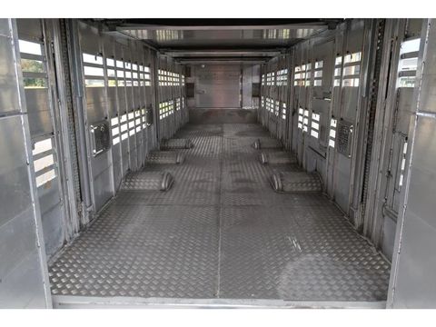 Pezzaioli SBA 31 - NEW - Neu - Livestock transporter | Companjen Bedrijfswagens BV [37]