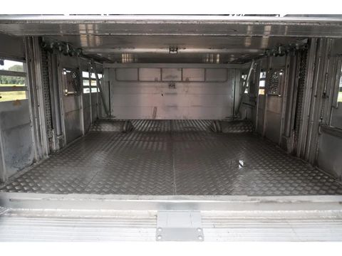 Pezzaioli SBA 31 - NEW - Neu - Livestock transporter | Companjen Bedrijfswagens BV [40]