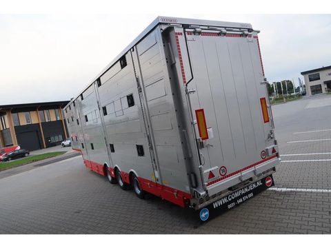 Pezzaioli SBA 31 - NEW - Neu - Livestock transporter | Companjen Bedrijfswagens BV [58]