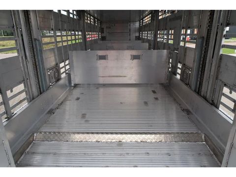 Pezzaioli SBA 31 - NEW - Neu - Livestock transporter | Companjen Bedrijfswagens BV [9]