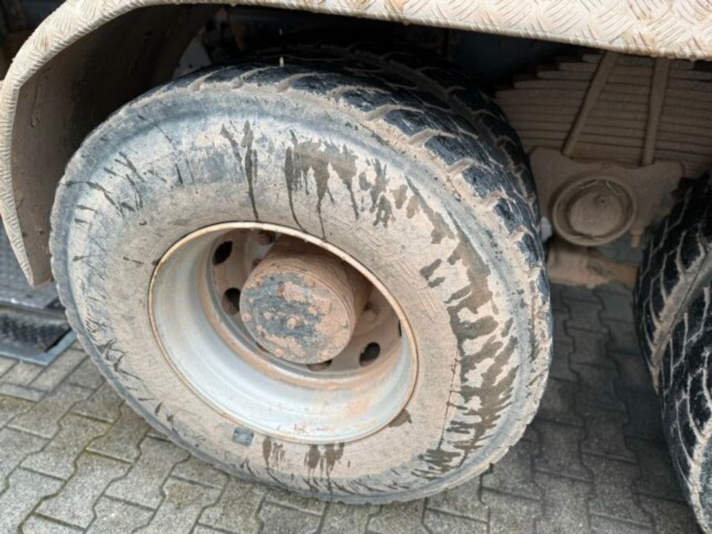 Iveco  (10)