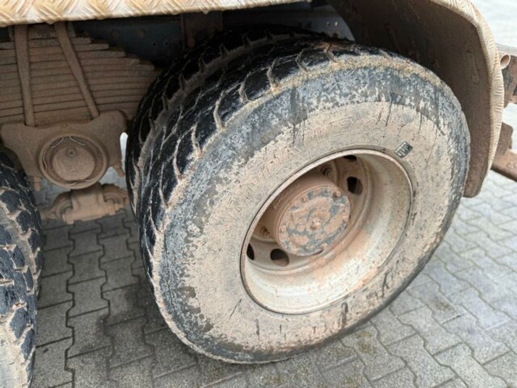 Iveco  (11)