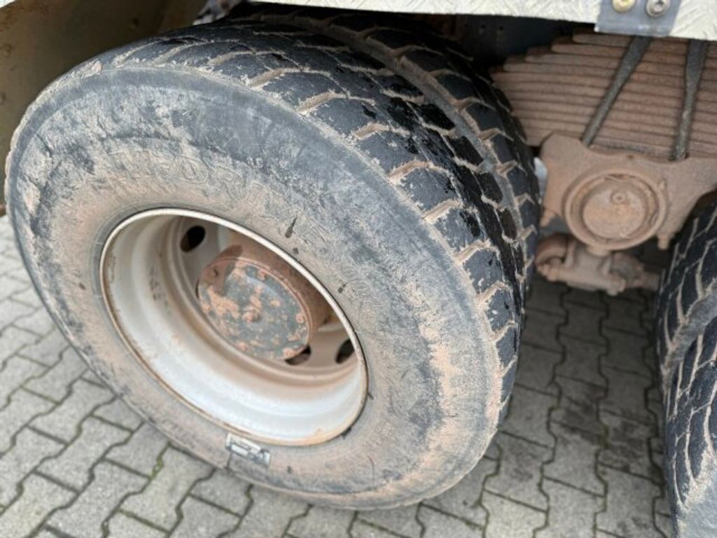 Iveco  (12)