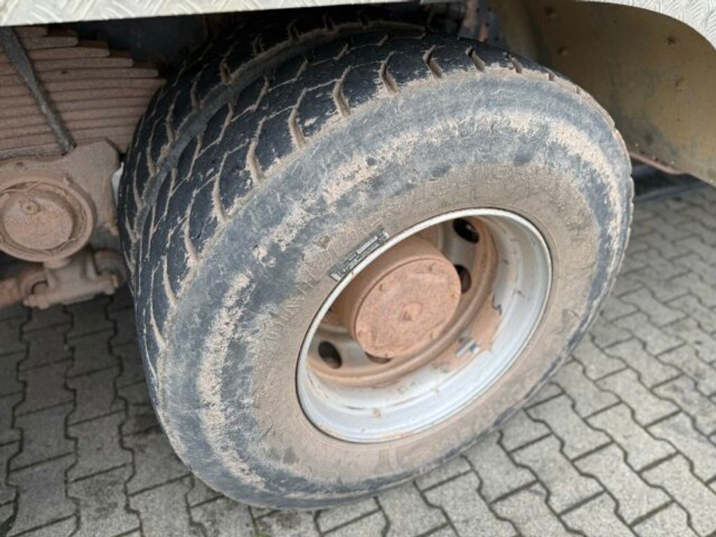 Iveco  (13)