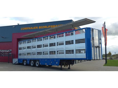 Berdex Berdex very nice trailer, Type 2, water + fans, new steel cables floor, | Companjen Bedrijfswagens BV [2]