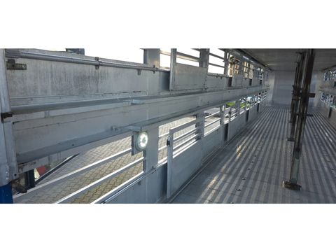 Berdex Berdex very nice trailer, Type 2, water + fans, new steel cables floor, | Companjen Bedrijfswagens BV [41]