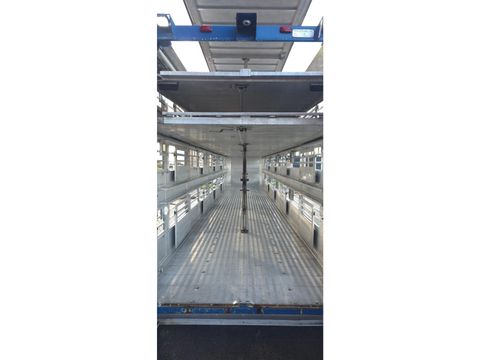 Berdex Berdex very nice trailer, Type 2, water + fans, new steel cables floor, | Companjen Bedrijfswagens BV [43]