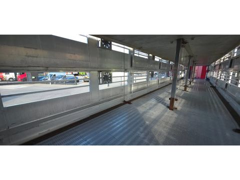 Berdex Berdex very nice trailer, Type 2, water + fans, new steel cables floor, | Companjen Bedrijfswagens BV [52]