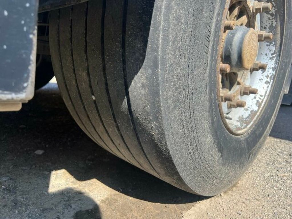 Schwarzmüller  (13)