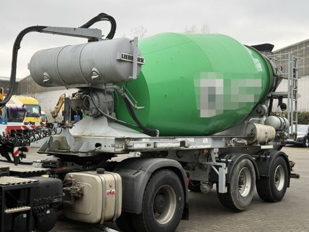 Müller-Mitteltal  (6)