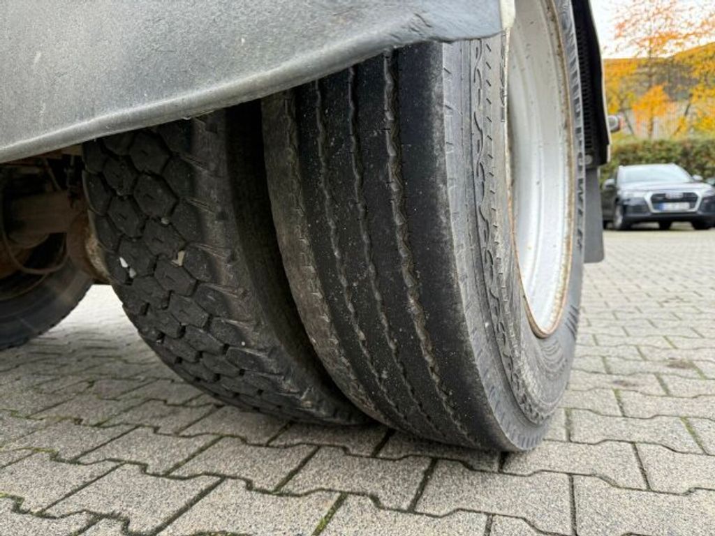 Kotschenreuther  (10)