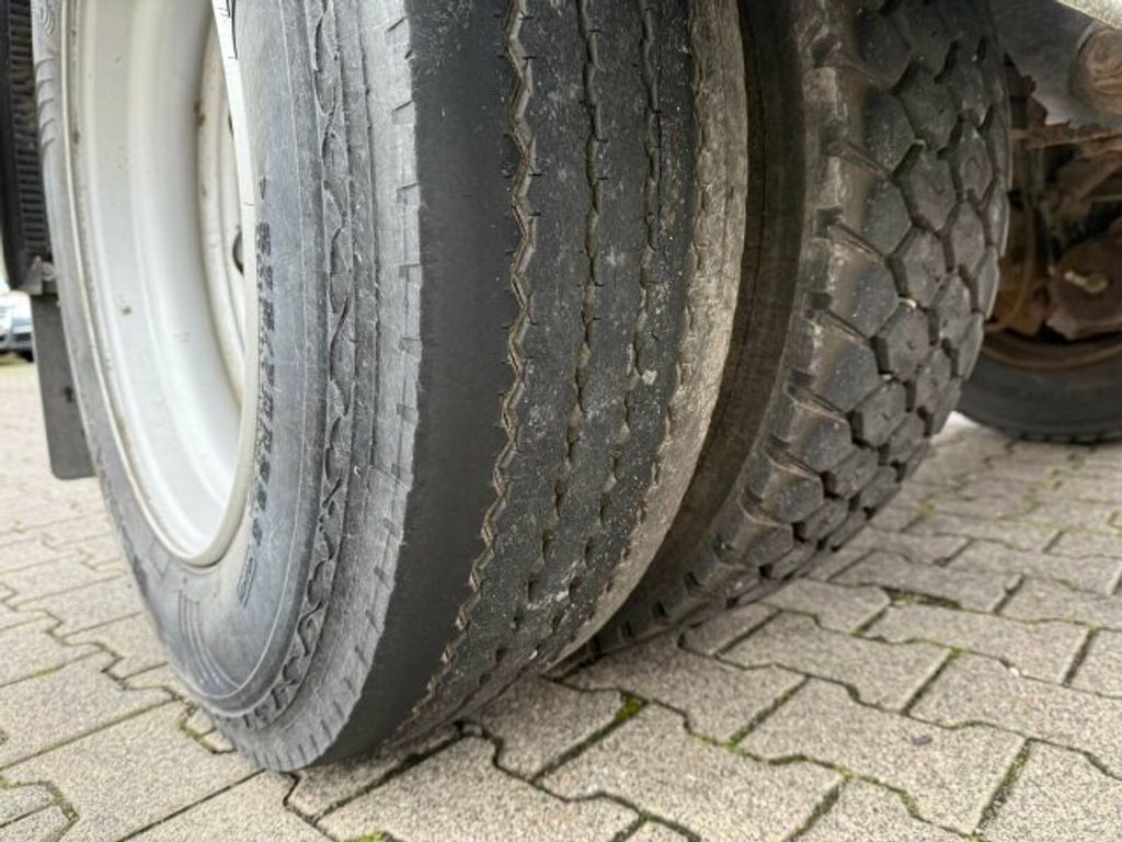 Kotschenreuther  (11)