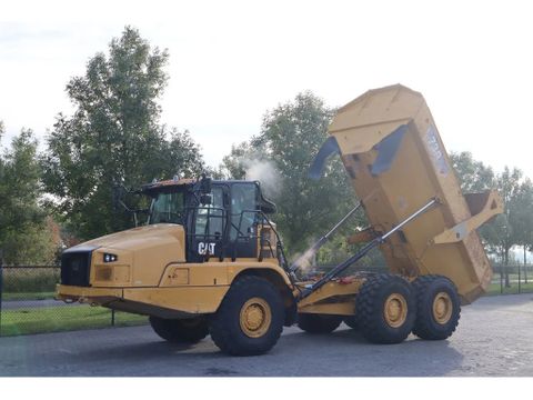 Caterpillar
730 04A | TAILGATE | LOW HOURS | Hulleman Trucks [2]