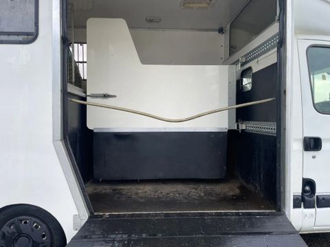 Opel 2.5CDTI Vee/Paardenwagen Automaat MARGE | Van Nierop BV [8]