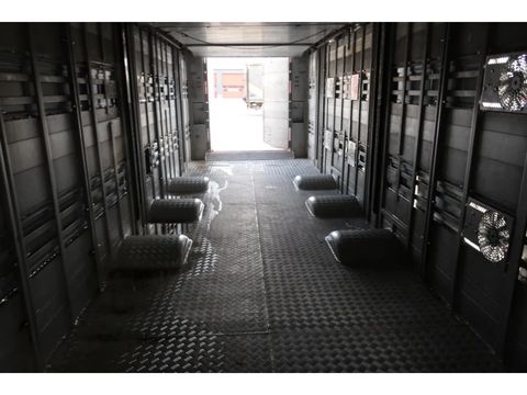 Pezzaioli SBA 31 - Cattle Transporter | Companjen Bedrijfswagens BV [21]