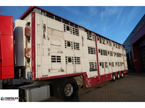 Pezzaioli SBA 31 - Cattle Transport | Companjen Bedrijfswagens BV [1]