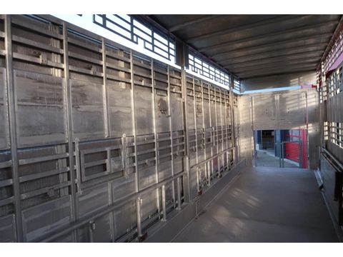 Pezzaioli SBA 31 - Cattle Transport | Companjen Bedrijfswagens BV [19]