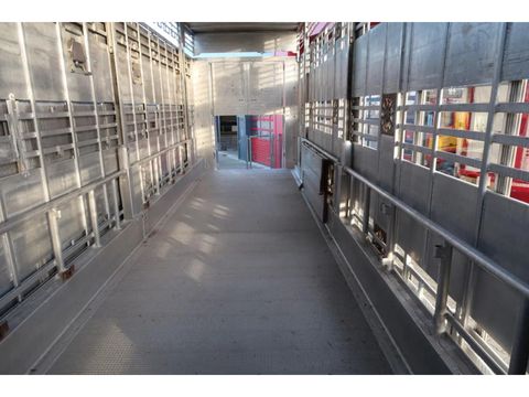 Pezzaioli SBA 31 - Cattle Transport | Companjen Bedrijfswagens BV [20]