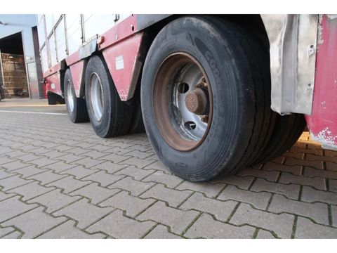 Pezzaioli SBA 31 - Cattle Transport | Companjen Bedrijfswagens BV [23]