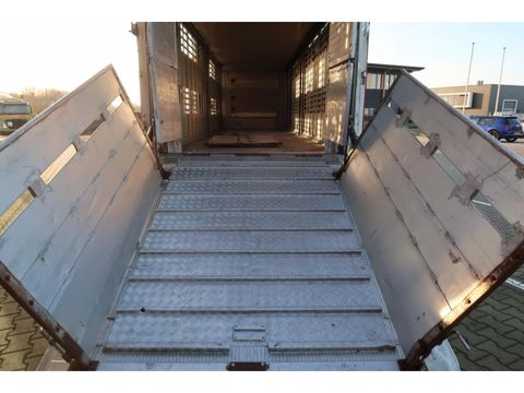 Pezzaioli SBA 31 - Cattle Transport | Companjen Bedrijfswagens BV [4]
