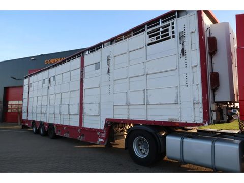 Pezzaioli SBA 31 - Cattle Transport | Companjen Bedrijfswagens BV [6]