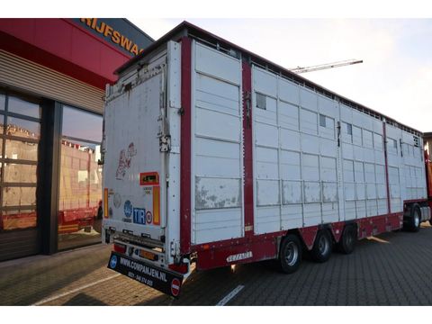 Pezzaioli SBA 31 - Cattle Transport | Companjen Bedrijfswagens BV [8]