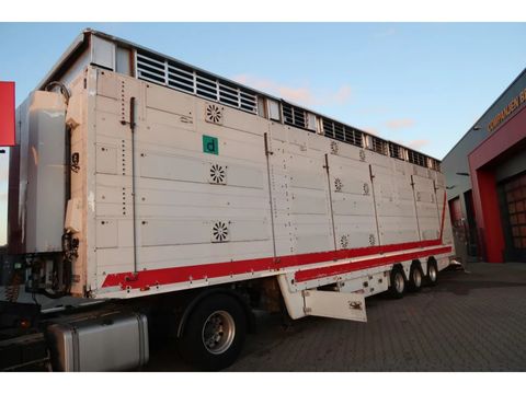 Pezzaioli SBA 32 - Cattle transport | Companjen Bedrijfswagens BV [3]