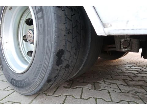 Pezzaioli SBA 32 - Cattle transport | Companjen Bedrijfswagens BV [7]